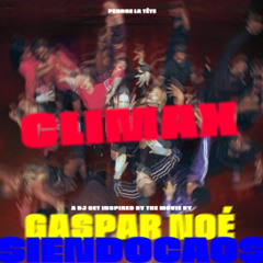CLIMAX - Gaspar Noé / A DJ Set inspired by.