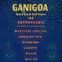 Sokolocybin - Sunrise into Morning  - Ganigoa Set - 15.8.2025