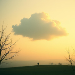 Forgive my love
