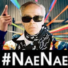 BUNDA - NAE NAE (VAUG REMIX) (hardest nae nae of 2009) [Direct DL]