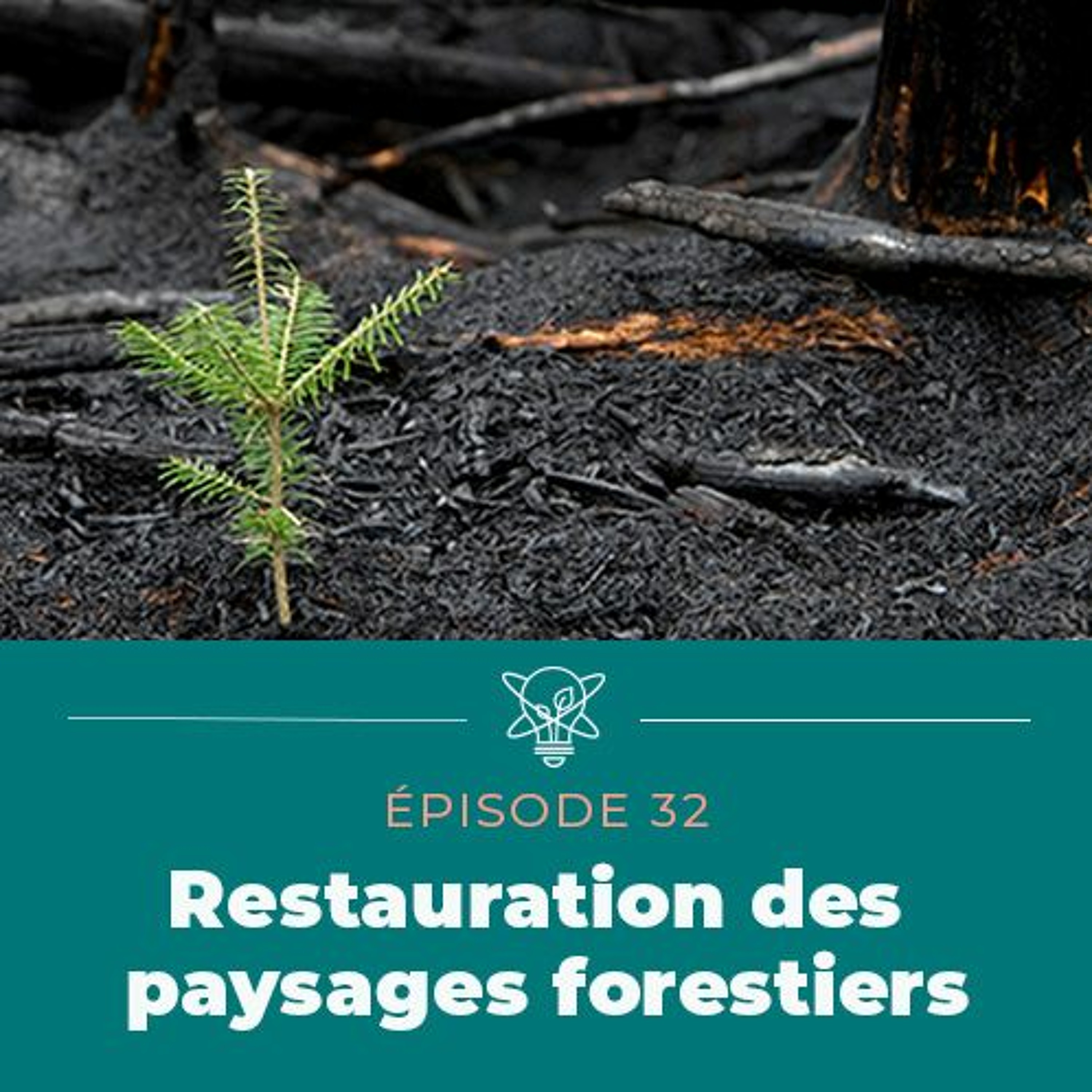 La science simplifiée