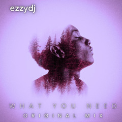 ezzydj - What you need (Original Mix)