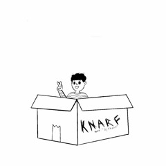The Box (Knarf Flip)