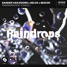 Sander van Doorn x Selva x Macon (feat. Chacel) - Raindrops (EJA Remix)