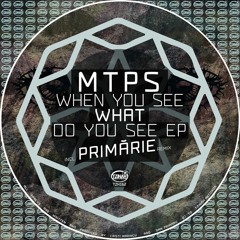 MTPS - When You See What Do You See EP [TZH162] incl. Primarie
