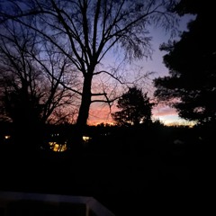 Antonio's Song (The Rainbow) by Michael Franks cover by Dan Donohue 06 01 2025