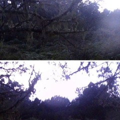 cejay - out my body (vili, tc, cejay)