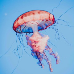 music for SH7 presentation