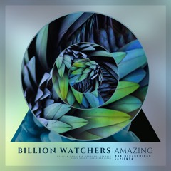 Billion Watchers - Amazing (Mariner + Domingo Remix) [Stellar Fountain]