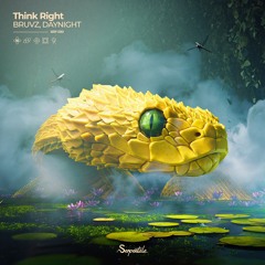BRUVZ X DAYNIGHT - THINK RIGHT