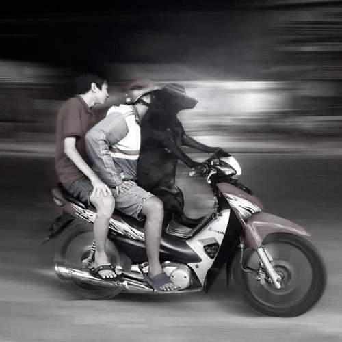 Mở Lối Cho Em Remix.mp3