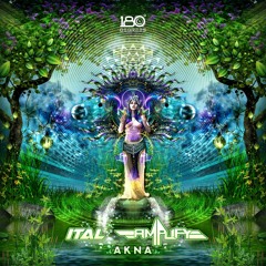Ital & Amplify - Akna