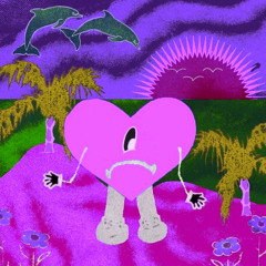 OJITOS LINDOS HOUSE FLIP