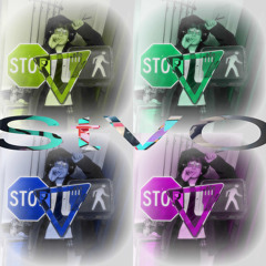 StVO (triscortex)