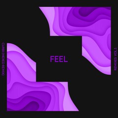 Feel (Mexed Remix)