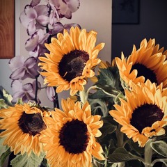 flowers-are-flying.mp3