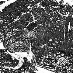 RAW (feat. NOIDEACHILD)