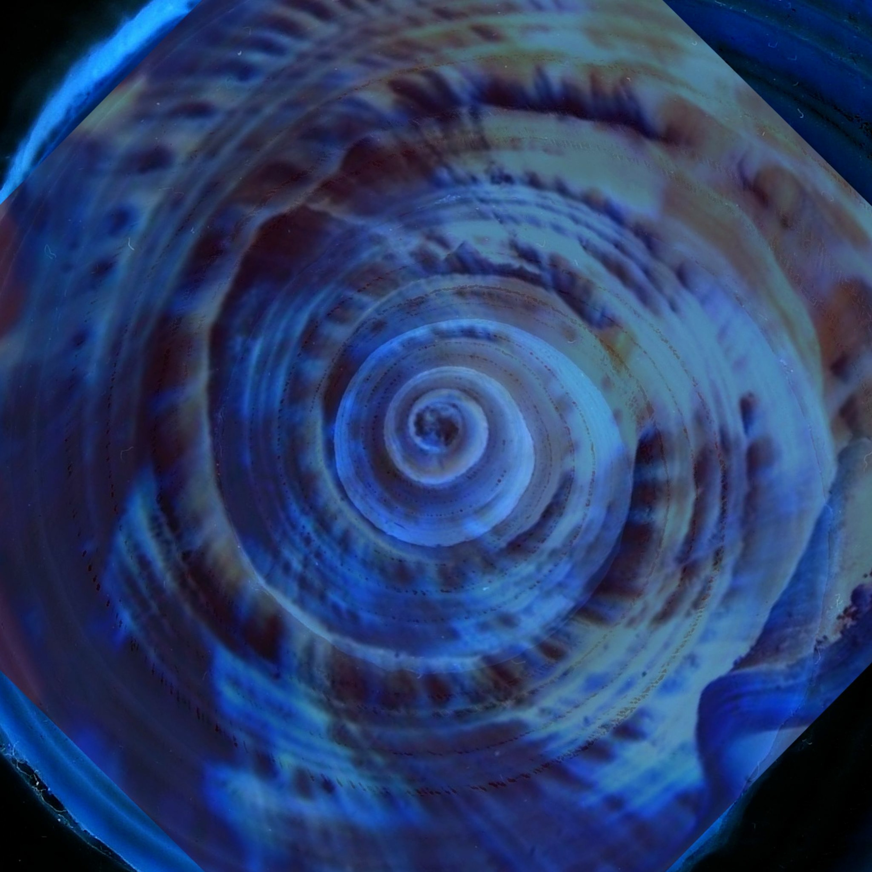 Bioluminiscencia episode artwork