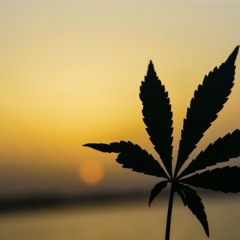 Ganja Sound