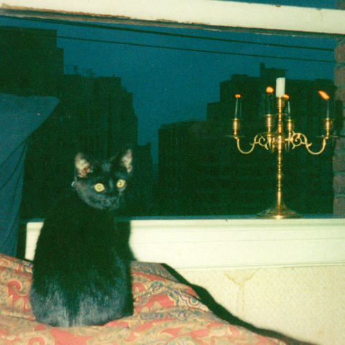 Cebe Barnes - Coping Mechanism