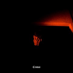 Crows (Prod. burningforestboy)