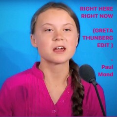 Right Here - Right Now (Greta Thunberg Edit Kat.006) - Paul Mond