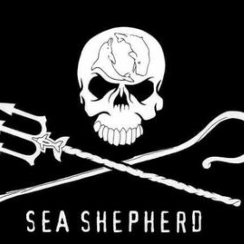 SEA SHEPHERD Cure For Me SUPER SLOWED BP Dark Triad HardTekk