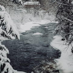 Snow (w/ Korusai)