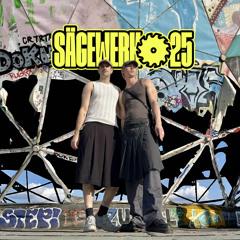DYNAMIC EXPERIENCE - SÄGEWERK 2025