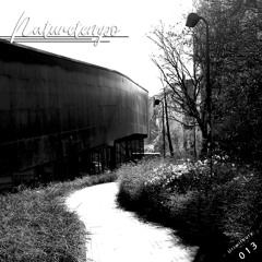 NatureTempo Podcast  013 - Uriwilbury