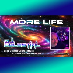 DJ Celestial - MORE LIFE (Deep Organic Cosmic House & Vocal Melodic House Mix Vol1)