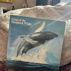 Deep Waterz, production by Tenko & Cricket