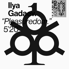 Ilya Gadaev „Pleasuredom“