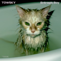 Towsky - Entropic Boy 12'' EP - TWSK002 Previews
