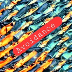 Avoidance (CHINCHILLA)