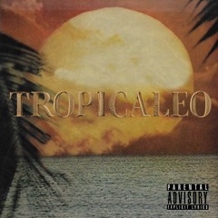 Tropicaleo