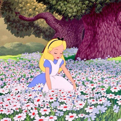 alice - pogo