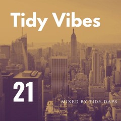 Tidy Vibes Vol. 21