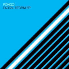 PREMIERE! Pngo - Digital Storm (Original Mix) Systematic Recordings