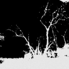 sic_1