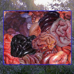 GODISRIPPINGANDTEARINGMYFACE