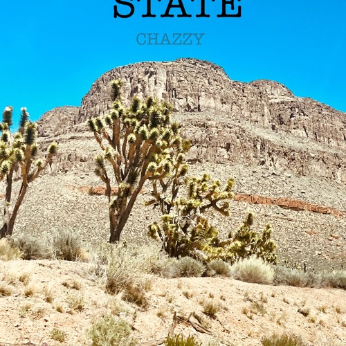 STATE