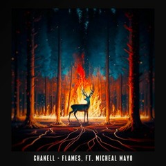 Flames (ft. Micheal Mayo)