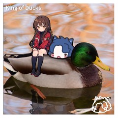Feszerion - King of Ducks
