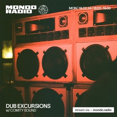 Dub Excursions w/ Comity Sound - 19/02/24