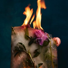 Retching In The Wings