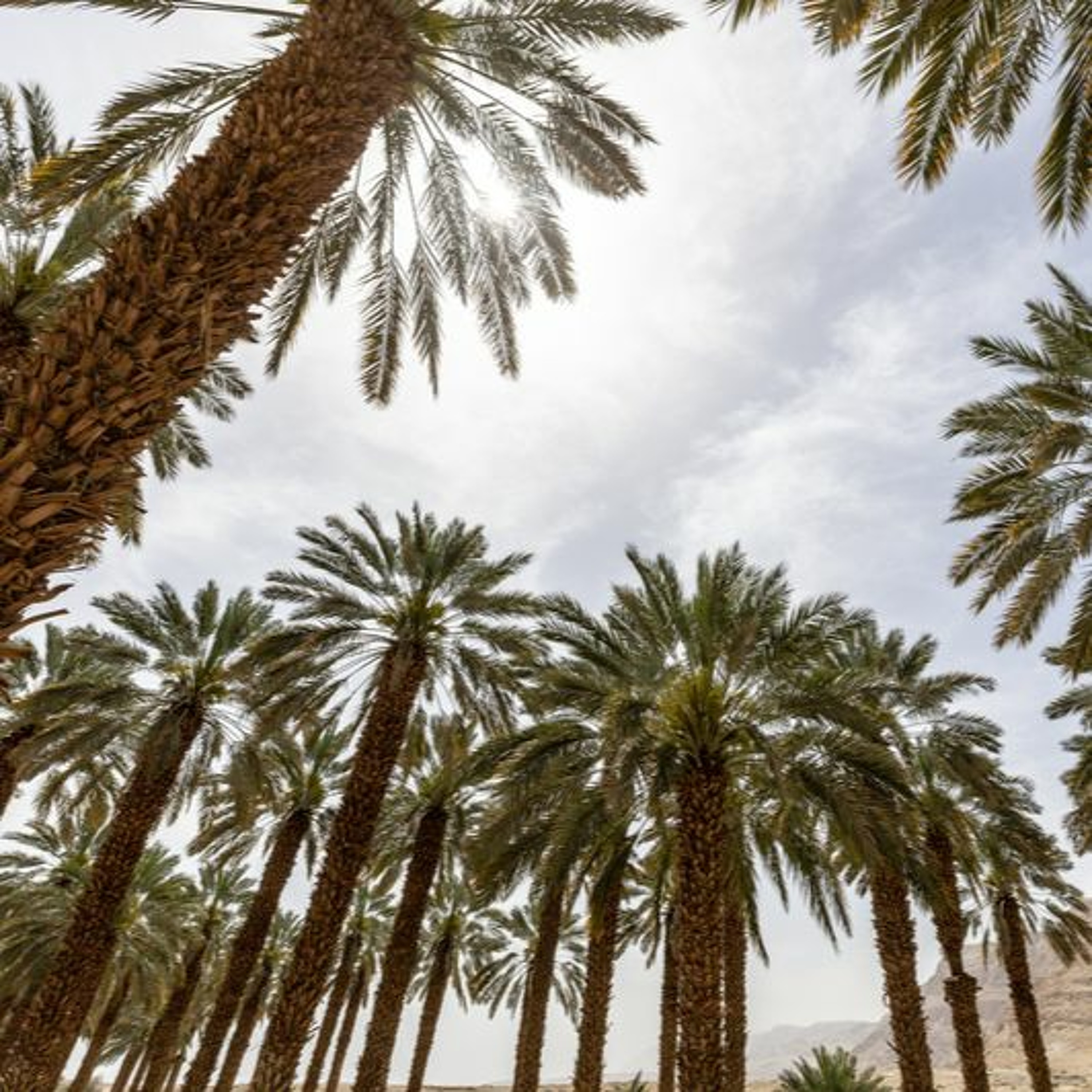 ICRC Humanitarian Law and Policy Blog