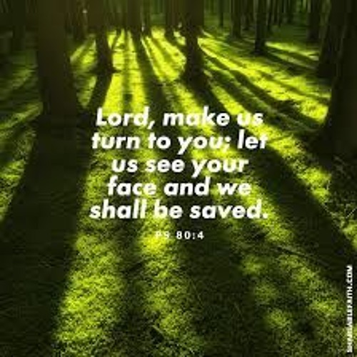 (Ps. 80) Lord, make us turn to you; let us see your face and we shall be saved. (Ryan)