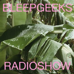 Bleepgeeks Radioshow 18.06.2022