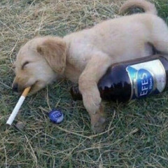 Espelho de madrugada